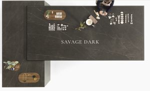 SAVAGE DARK 1