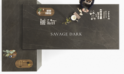 SAVAGE DARK 1